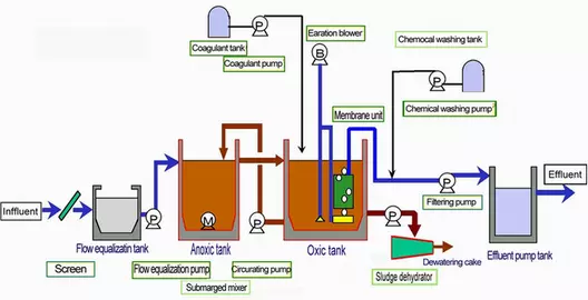Activated sludge treatment with a separation membrane module