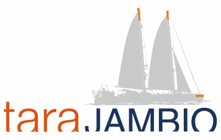 ヴェオリアがパートナーとして参加する 『TARA-JAMBIOマイクロプラスチック共同調査』が開始されました