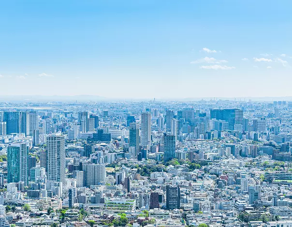 上空から見る東京の街並み